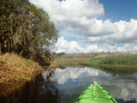 Paddle Myakka River