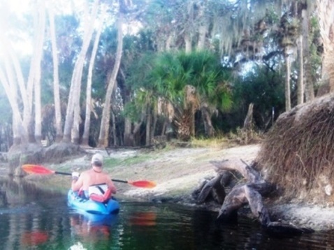 Paddle Myakka River