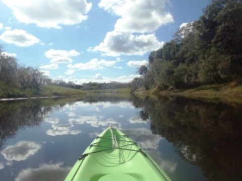 Paddle Myakka River