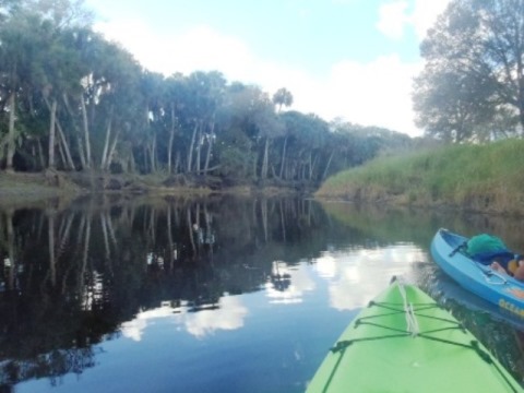 Paddle Myakka River