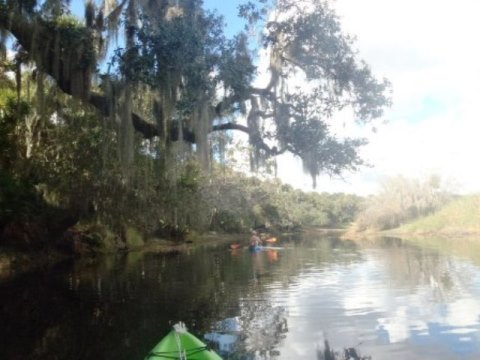 Paddle Myakka River