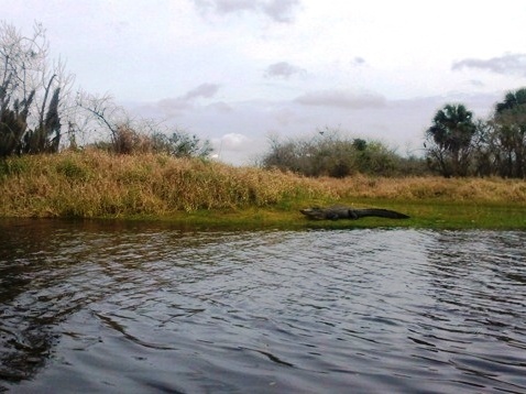 Paddle Myakka River