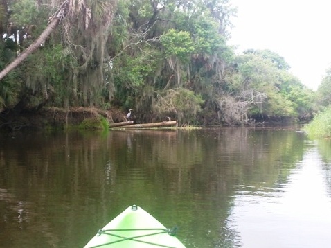 Paddle Myakka River