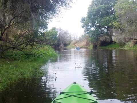 Paddle Myakka River