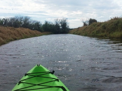 Paddle Myakka River