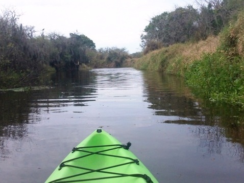 Paddle Myakka River