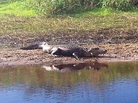 Paddle Myakka River