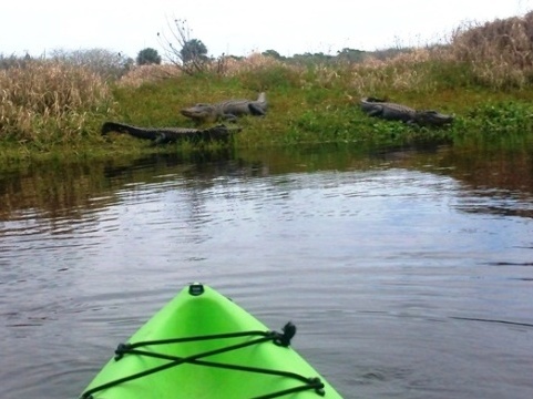 Paddle Myakka River