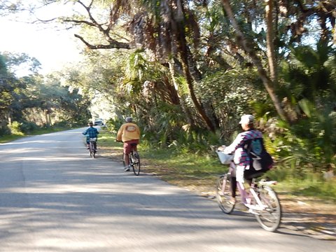 Paddle Myakka River