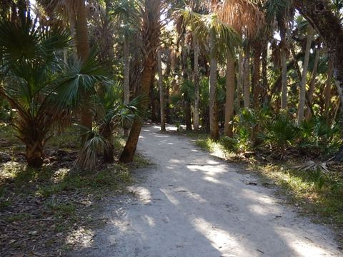 Paddle Myakka River