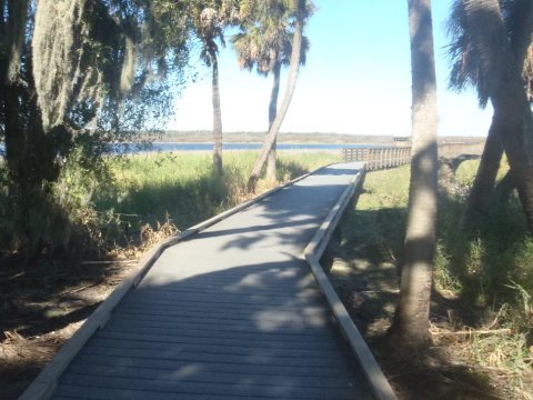 Paddle Myakka River