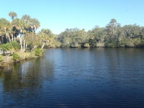 Paddle Myakka River