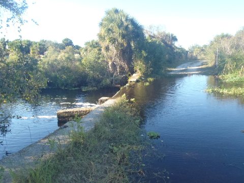 Paddle Myakka River