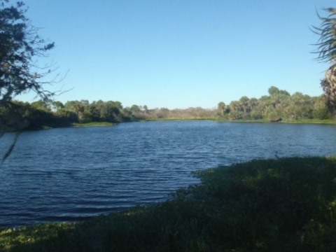 Paddle Myakka River