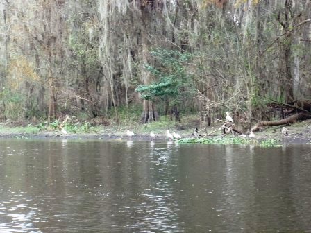 Peace River Paddling Trail, upper section