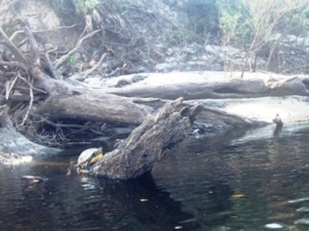 Peace River Paddling Trail