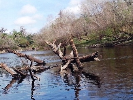 Peace River Paddling Trail