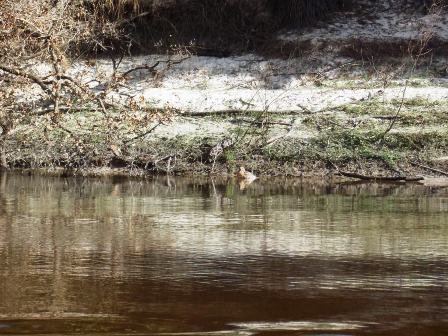 Peace River Paddling Trail