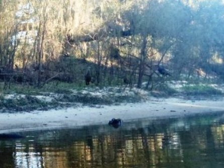 Peace River Paddling Trail