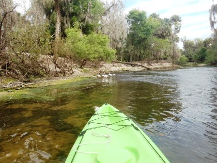 Peace River Paddling Trail, middle section