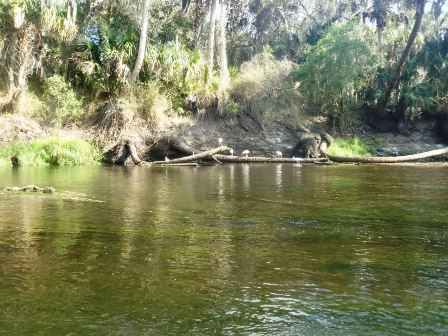 Peace River Paddling Trail, middle section