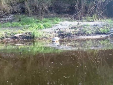 Peace River Paddling Trail, middle section