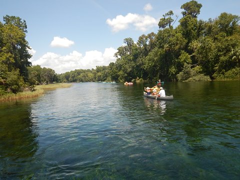 paddling Rainbow River, kayak, canoe