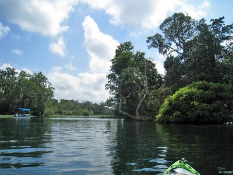 paddling Rainbow River, kayak, canoe