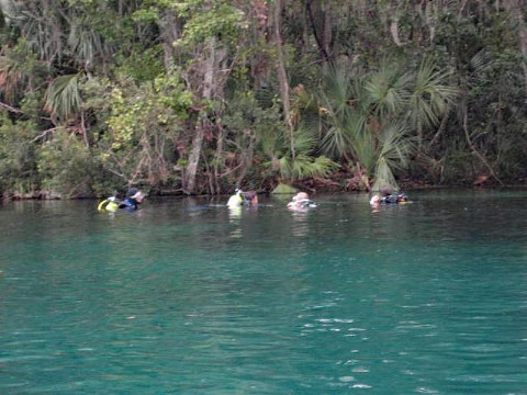 paddling Rainbow River, kayak, canoe