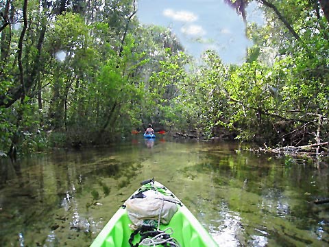 paddling Rainbow River, kayak, canoe