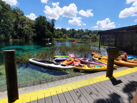 paddling Rainbow River, kayak, canoe