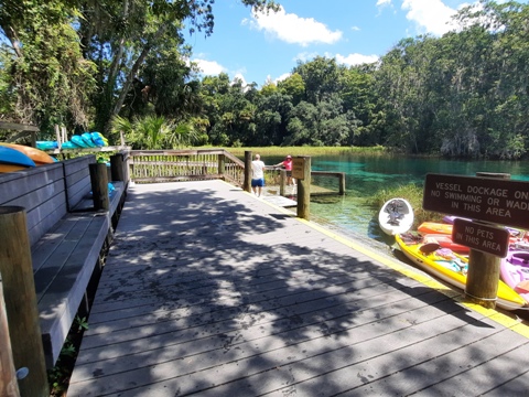 paddling Rainbow River, kayak, canoe