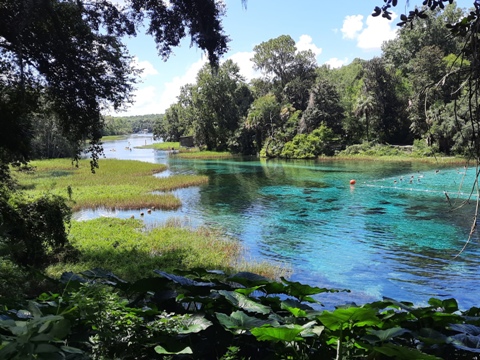 paddling Rainbow River, kayak, canoe