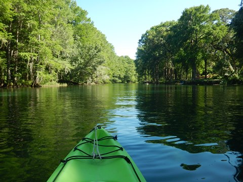 paddling Rainbow River, kayak, canoe