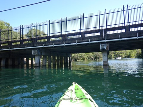 paddling Rainbow River, kayak, canoe