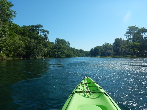 paddling Rainbow River, kayak, canoe