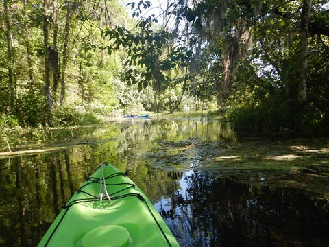 paddling Rainbow River, kayak, canoe