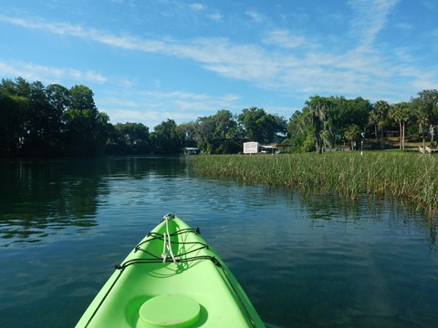 paddling Rainbow River, kayak, canoe