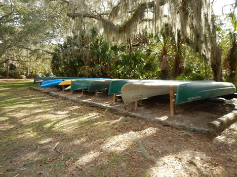 Paddling on South Creek, Oscar Scherer