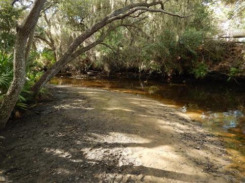 Paddling on South Creek, Oscar Scherer