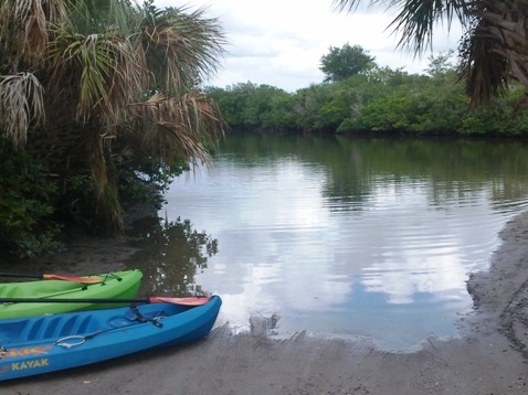 Paddling on Terra Ceia