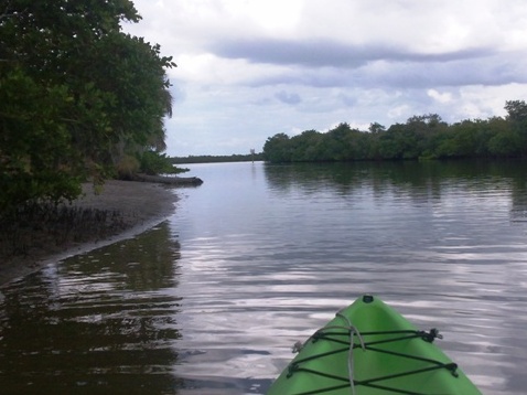 Paddling on Terra Ceia