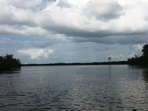 Paddling on Terra Ceia