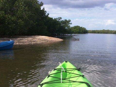 Paddling on Terra Ceia