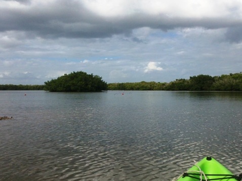 Paddling on Terra Ceia