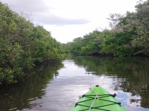 Paddling on Terra Ceia