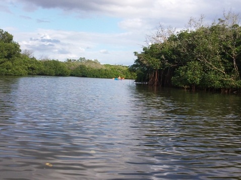 Paddling on Terra Ceia