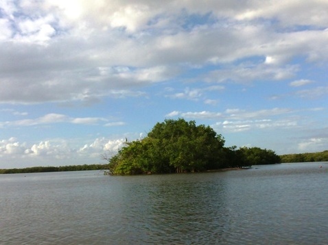 Paddling on Terra Ceia