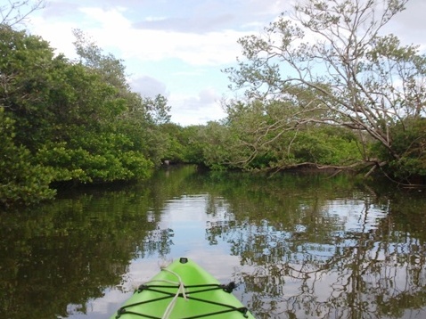 Paddling on Terra Ceia