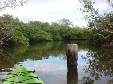 Paddling on Terra Ceia